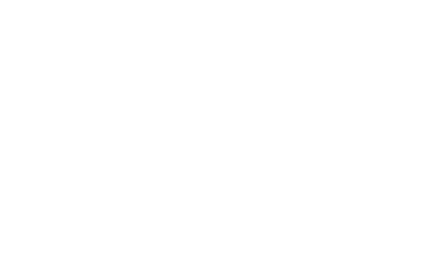 logo light